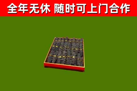 高港回收海参